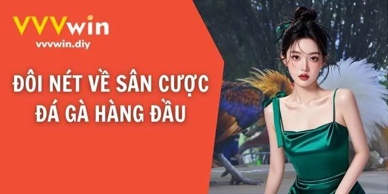 Đôi nét về sân cược đá gà hàng đầu