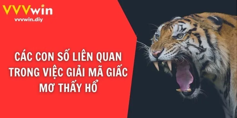 Các con số liên quan trong việc giải mã giấc mơ thấy hổ