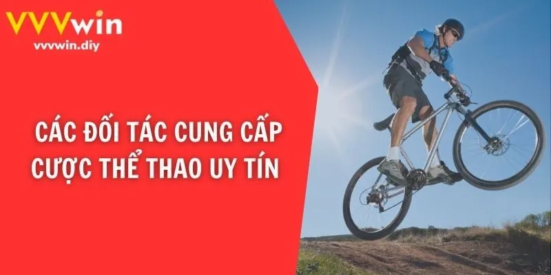 Các đối tác cung cấp cược thể thao uy tín