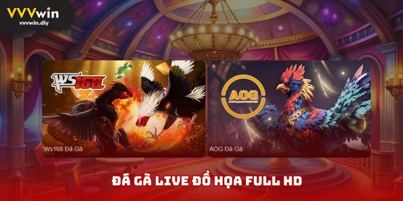 Đá gà live đồ họa full HD