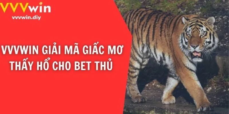 VVVwin giải mã giấc mơ thấy hổ cho bet thủ